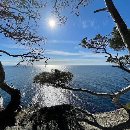Appartement En Residence Privee, Face A La Mer Avec Acces Direct Plage Hyères Eksteriør bilde
