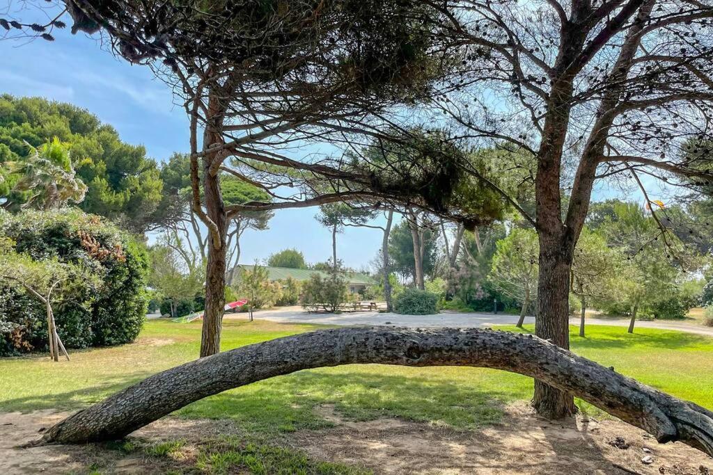 Appartement En Residence Privee, Face A La Mer Avec Acces Direct Plage Hyères Eksteriør bilde